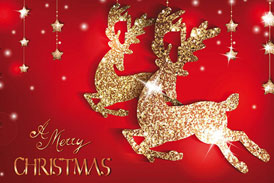 Ningbo Baocheng Wish You All a Merry Christmas